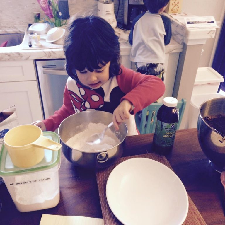GlutenFree Blackstrap Molasses Cookies Perfect Little Bites