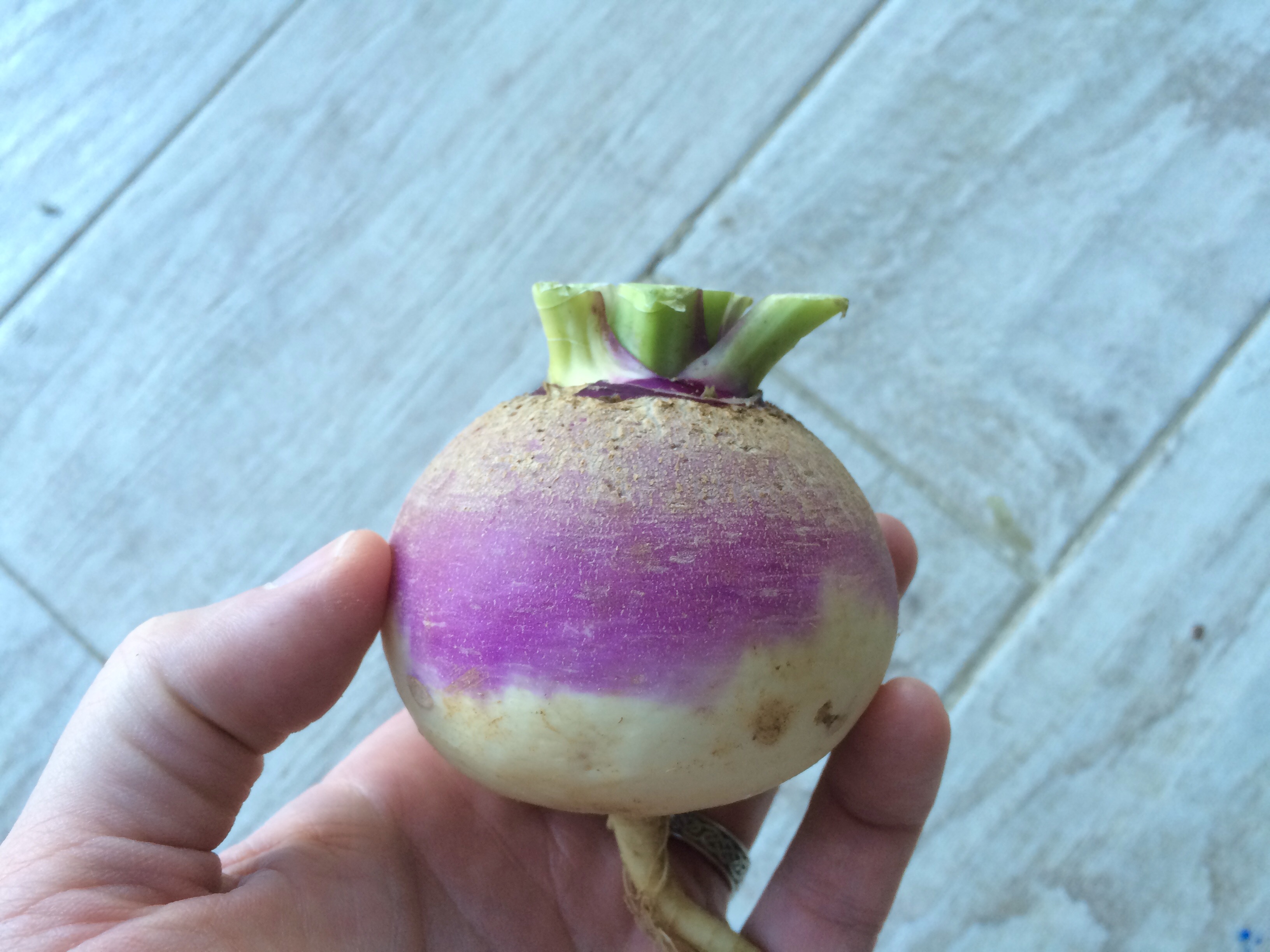the eastham turnip and turnip fluff recipe