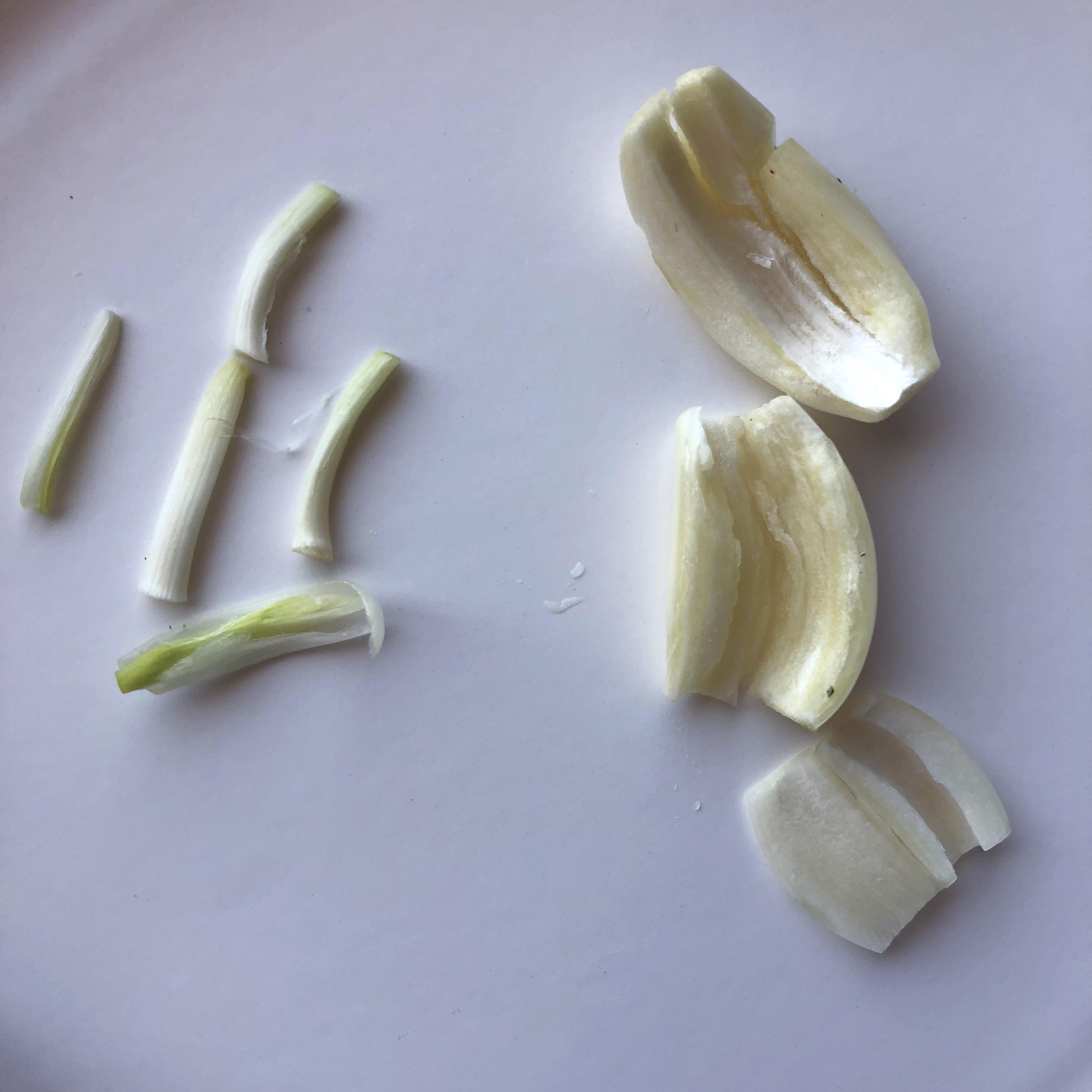 removing the germ from garlic before cooking chef jeremy fox jacques pepin and david lebovitz